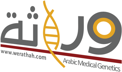 د. عبد الرحمن السويد